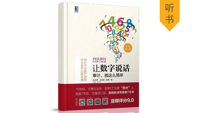 让数字说话：审计，就这么简单