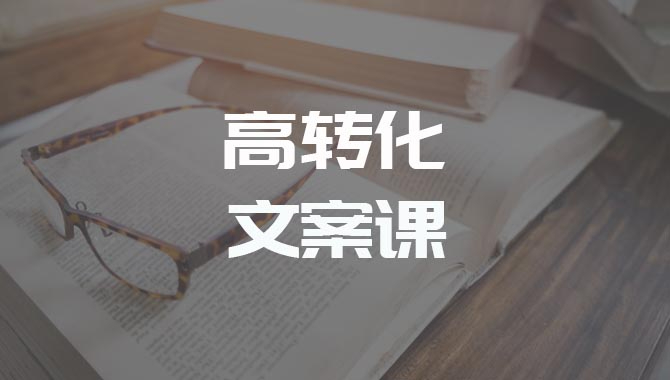 听得懂、用得上的高转化吸金文案课