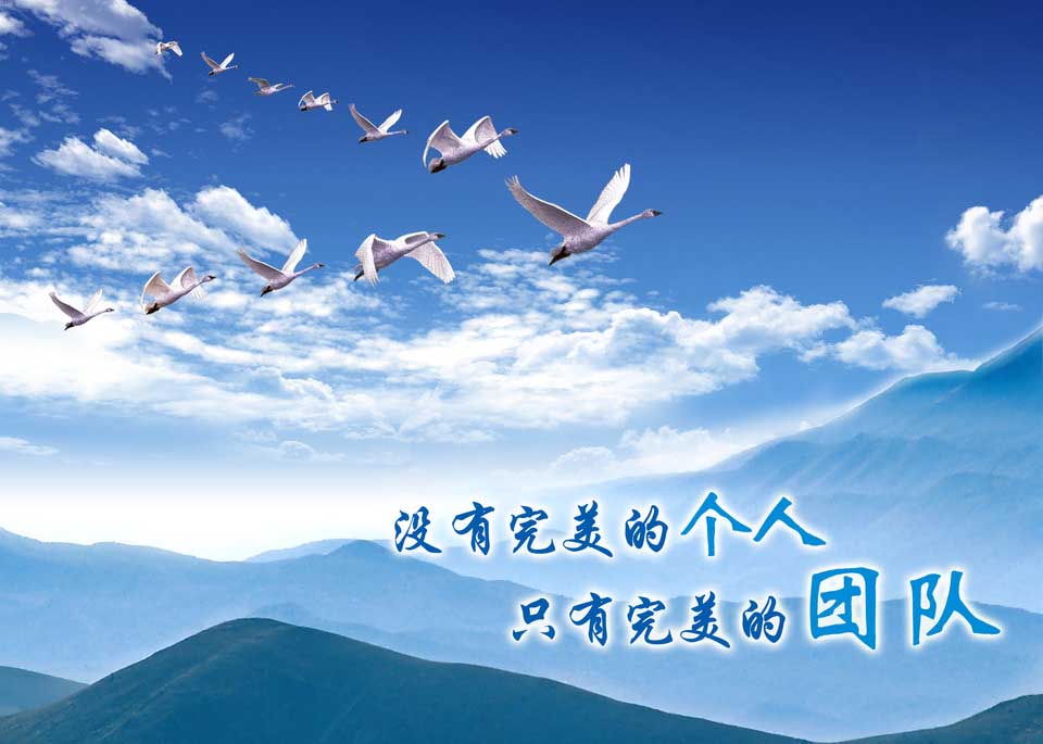 拓展训练：蚂蚁团队和狼的团队