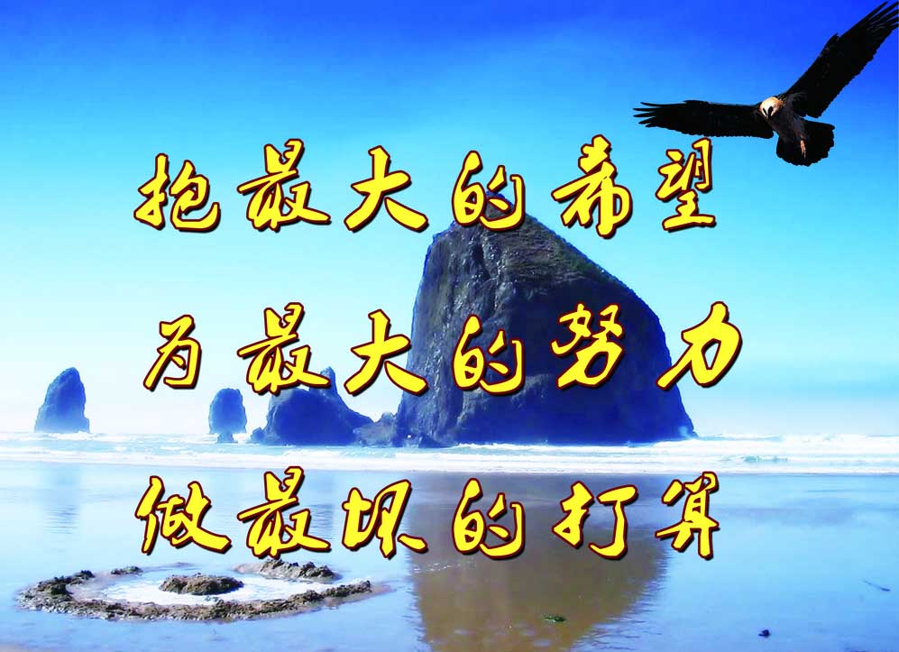 拓展感悟：分享《放哨的白雁》