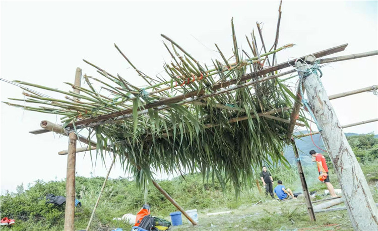 拓展训练：准备活动、游戏及晨练安全规定